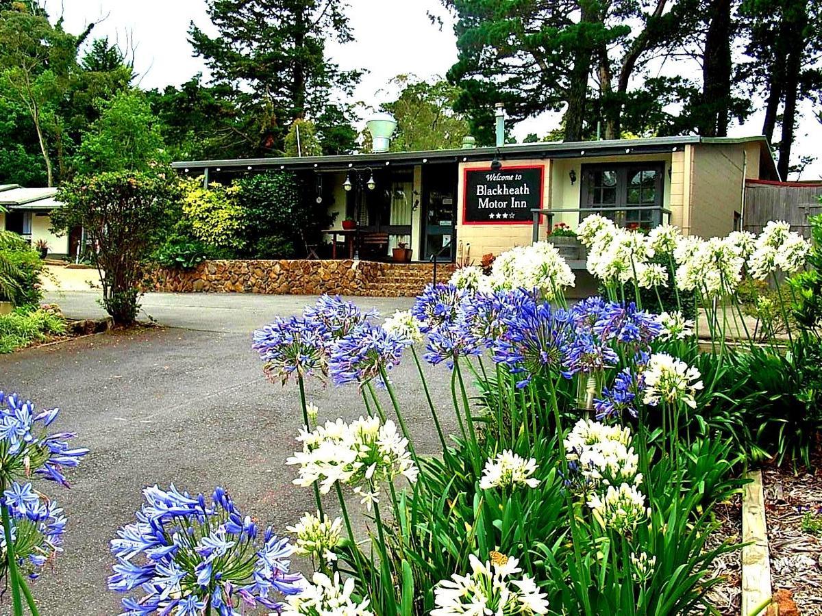 Blackheath Motor Inn Exteriér fotografie
